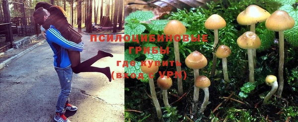 бошки Аркадак