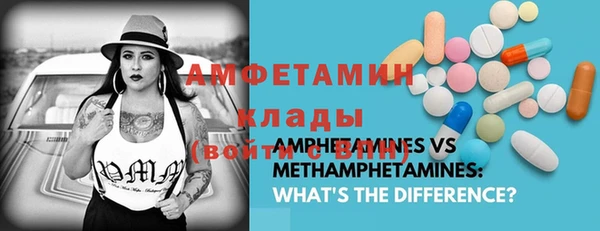 прущий лед Алзамай