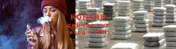 прущий лед Алзамай