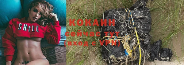 бошки Аркадак