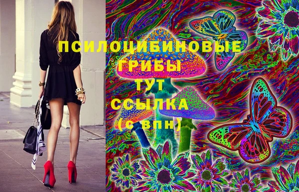 прущий лед Алзамай