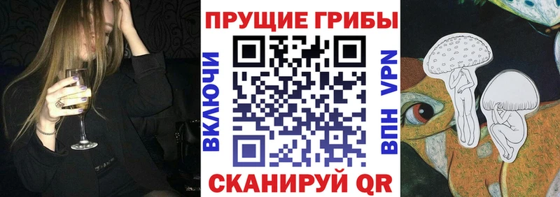где можно купить   Ревда  Галлюциногенные грибы MAGIC MUSHROOMS 
