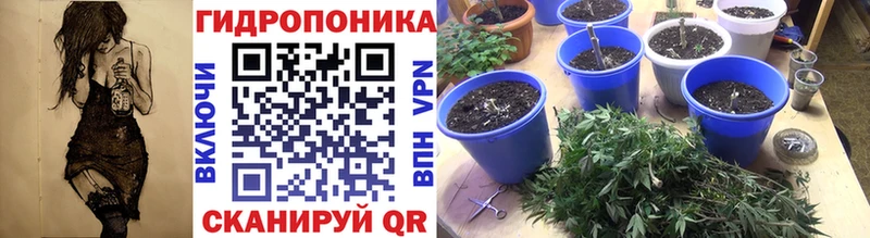 Шишки марихуана гибрид  hydra как зайти  Ревда 